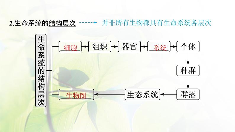 人教版2024届高考生物一轮复习细胞的多样性、统一性(含病毒)教学课件第6页