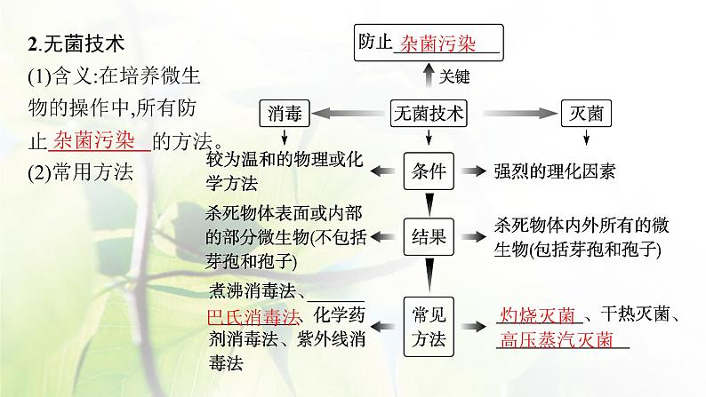 人教版2024届高考生物一轮复习微生物的培养与应用教学课件第8页