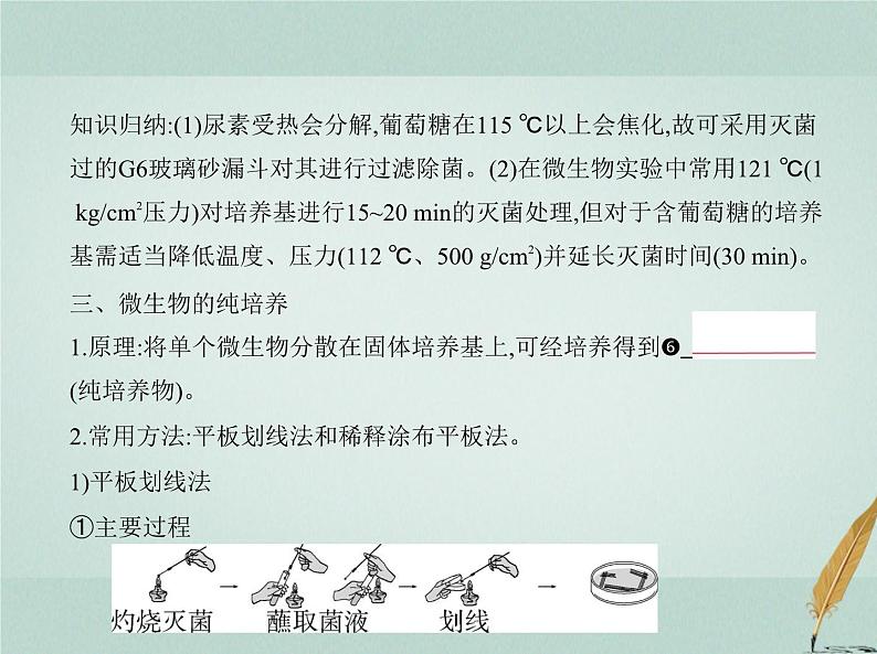 人教版2024届高考生物一轮复习微生物的培养与发酵工程教学课件08