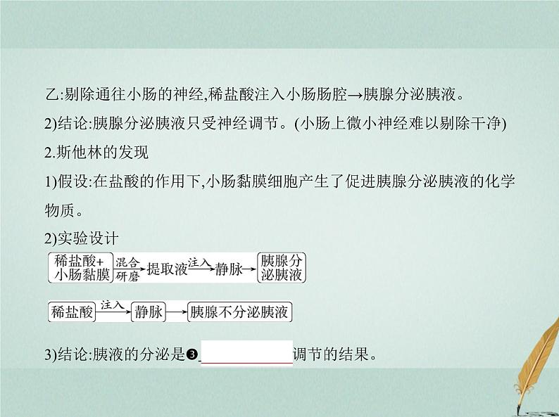 人教版2024届高考生物一轮复习体液调节及其与神经调节的关系教学课件第3页