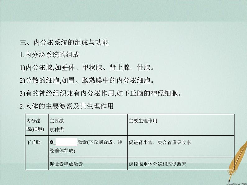 人教版2024届高考生物一轮复习体液调节及其与神经调节的关系教学课件第4页