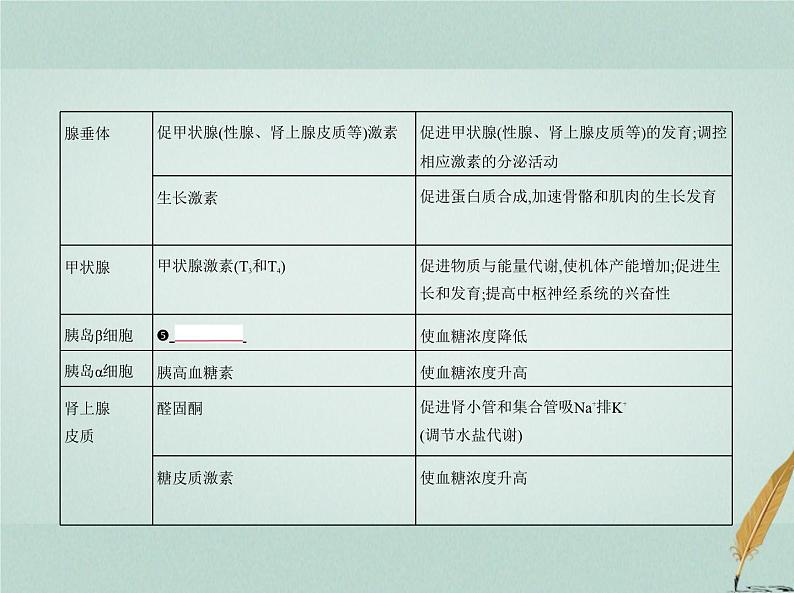 人教版2024届高考生物一轮复习体液调节及其与神经调节的关系教学课件第5页