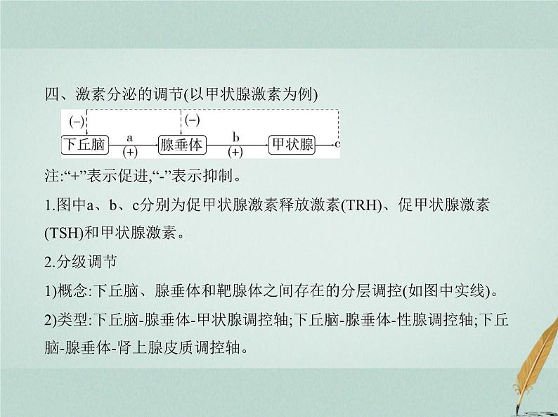 人教版2024届高考生物一轮复习体液调节及其与神经调节的关系教学课件第7页