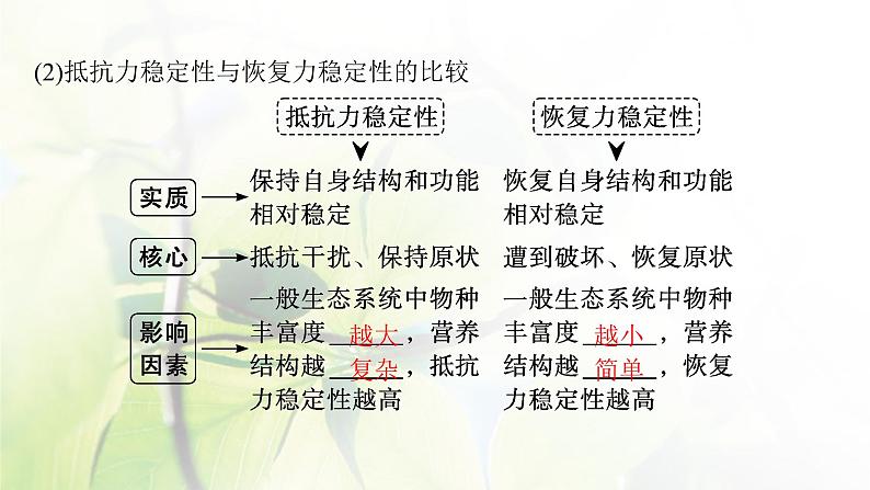 人教版2024届高考生物一轮复习生态系统的稳定性和生态环境的保护教学课件第7页