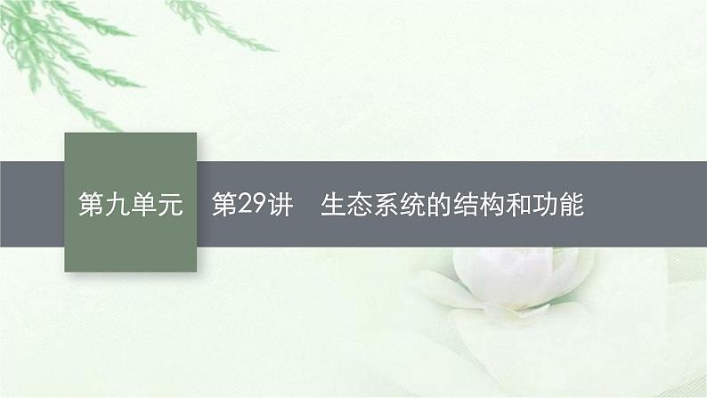 人教版2024届高考生物一轮复习生态系统的结构和功能教学课件第1页