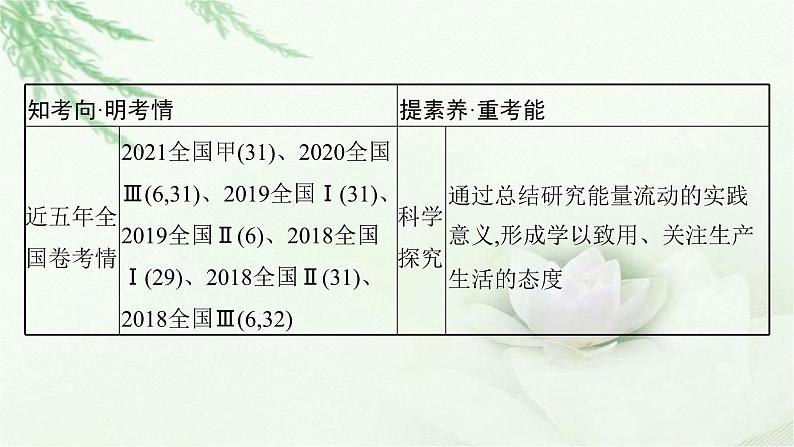 人教版2024届高考生物一轮复习生态系统的结构和功能教学课件第4页