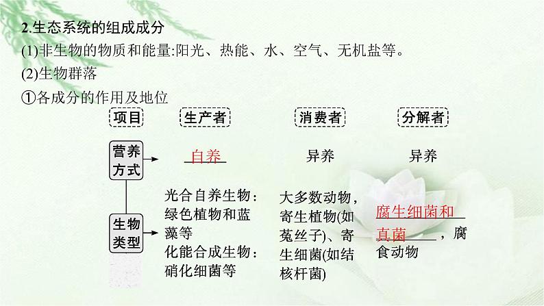 人教版2024届高考生物一轮复习生态系统的结构和功能教学课件第7页