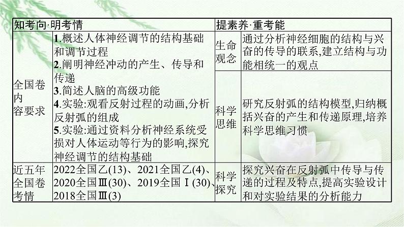 人教版2024届高考生物一轮复习神经调节教学课件第3页