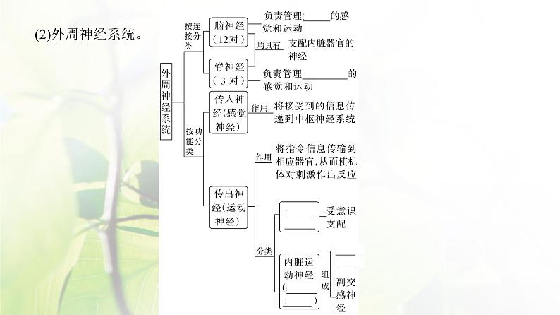 人教版2024届高考生物一轮复习神经调节教学课件 (3)第4页