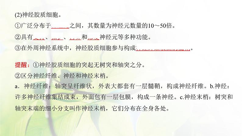 人教版2024届高考生物一轮复习神经调节教学课件 (3)第7页