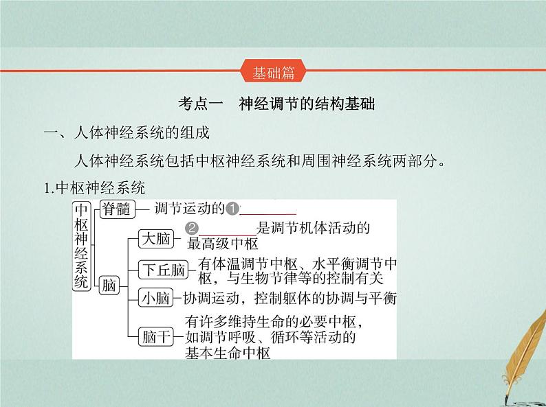 人教版2024届高考生物一轮复习神经调节教学课件 (2)第2页