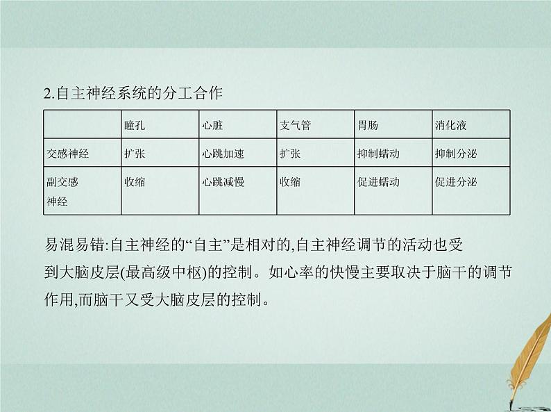 人教版2024届高考生物一轮复习神经调节教学课件 (2)第5页