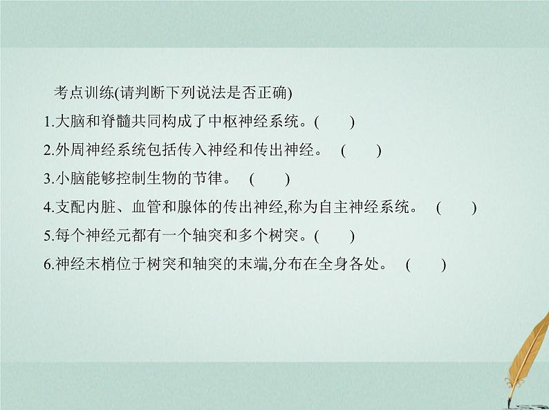 人教版2024届高考生物一轮复习神经调节教学课件 (2)第8页