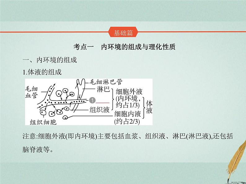 人教版2024届高考生物一轮复习人体的内环境与稳态教学课件第2页