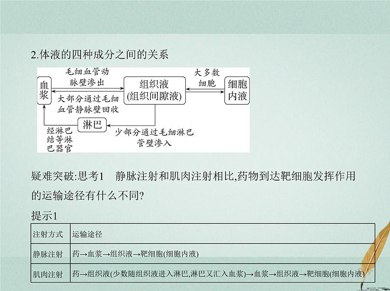 人教版2024届高考生物一轮复习人体的内环境与稳态教学课件第3页