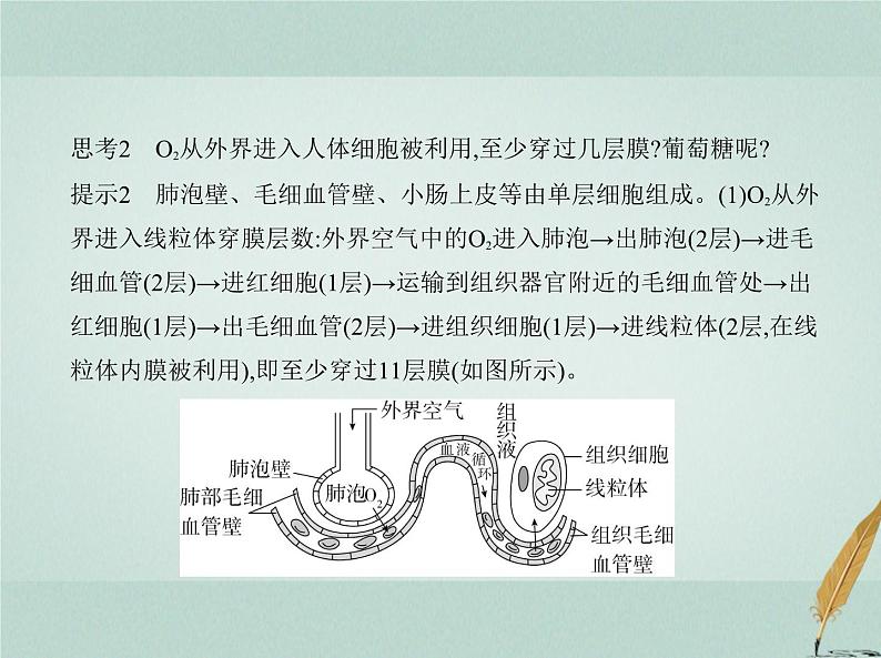 人教版2024届高考生物一轮复习人体的内环境与稳态教学课件第4页