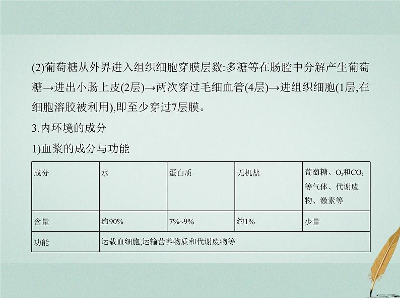 人教版2024届高考生物一轮复习人体的内环境与稳态教学课件第5页