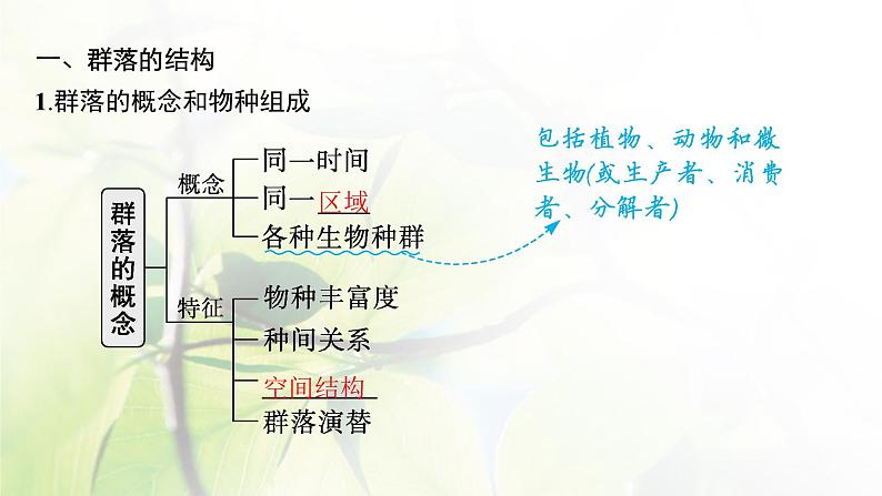 人教版2024届高考生物一轮复习群落的结构与演替教学课件第5页