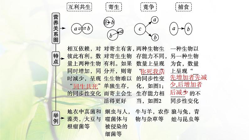 人教版2024届高考生物一轮复习群落的结构与演替教学课件第8页