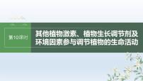 人教版2024届高考生物一轮复习其他植物激素、植物生长调节剂及环境因素参与调节植物的生命活动教学课件