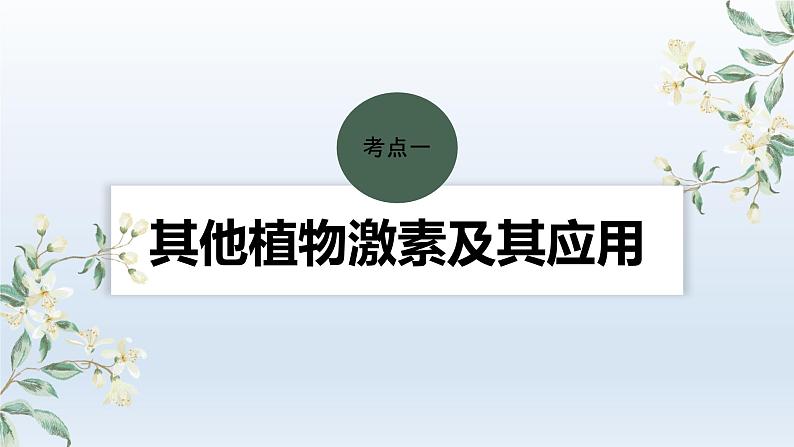 人教版2024届高考生物一轮复习其他植物激素、植物生长调节剂及环境因素参与调节植物的生命活动教学课件04