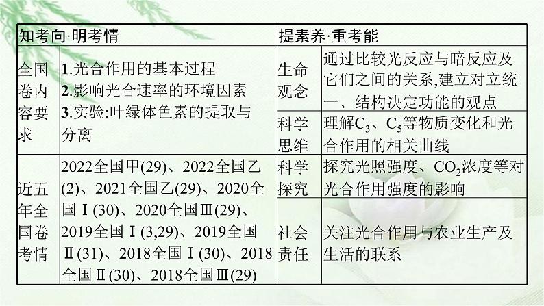 人教版2024届高考生物一轮复习能量之源——光与光合作用教学课件第3页