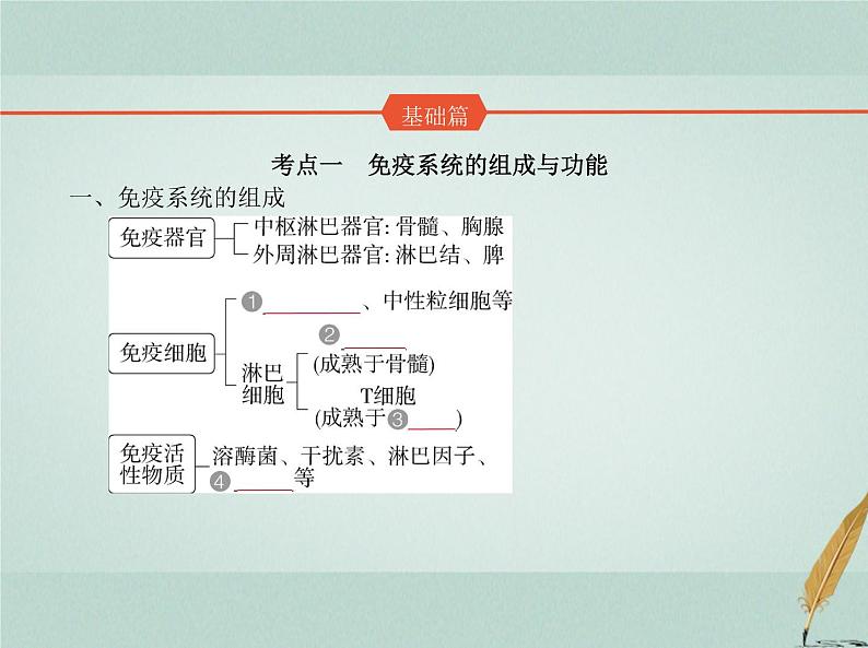 人教版2024届高考生物一轮复习免疫调节教学课件02