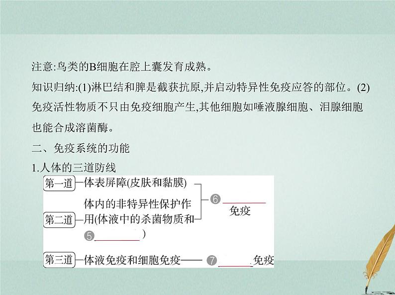 人教版2024届高考生物一轮复习免疫调节教学课件03