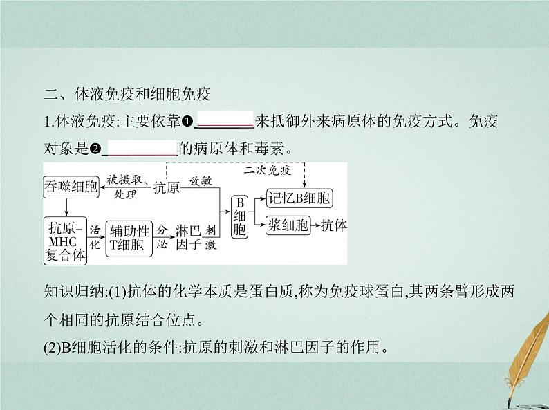 人教版2024届高考生物一轮复习免疫调节教学课件07