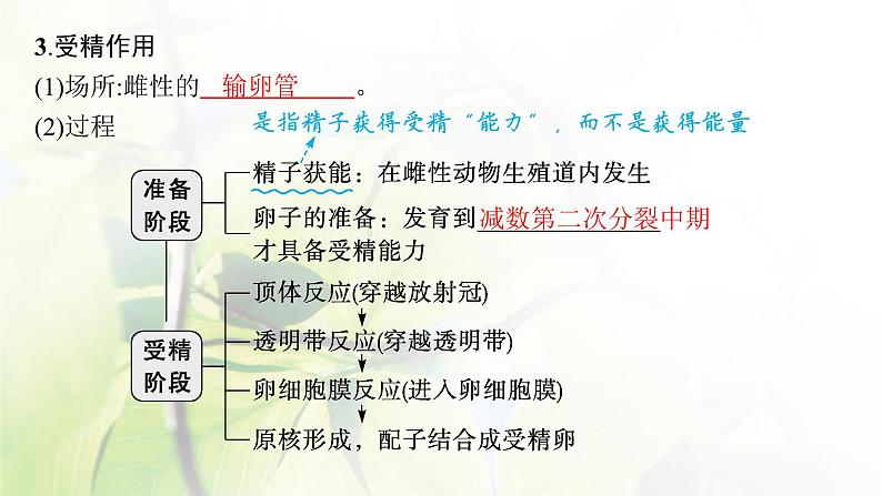 人教版2024届高考生物一轮复习胚胎工程与生态工程教学课件第7页