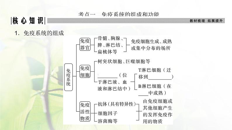 人教版2024届高考生物一轮复习免疫调节教学课件 (2)第3页