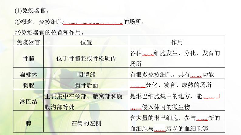 人教版2024届高考生物一轮复习免疫调节教学课件 (2)第4页