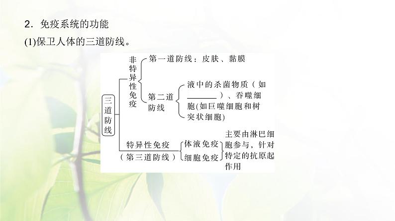 人教版2024届高考生物一轮复习免疫调节教学课件 (2)第8页