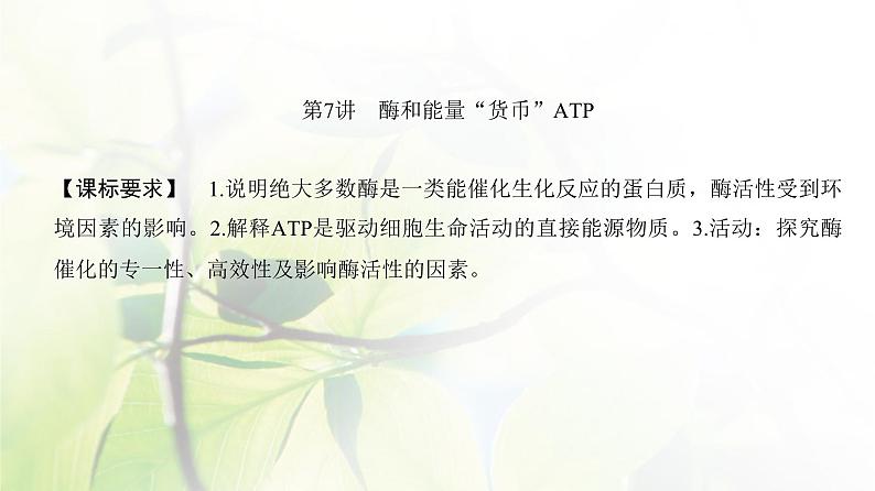 人教版2024届高考生物一轮复习酶和能量“货币”ATP教学课件02