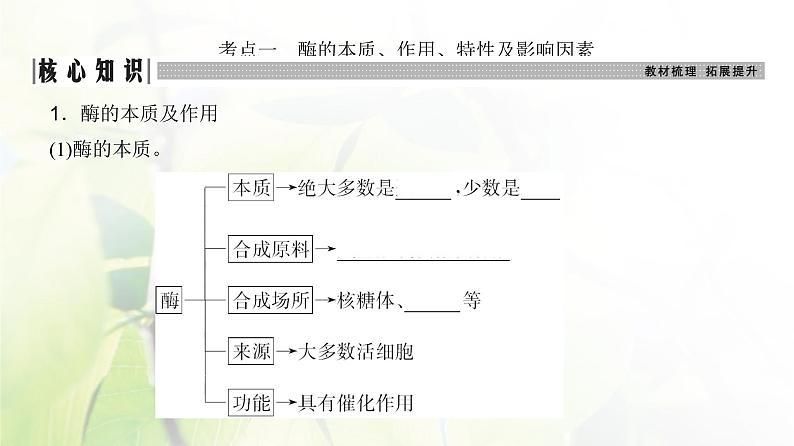 人教版2024届高考生物一轮复习酶和能量“货币”ATP教学课件03