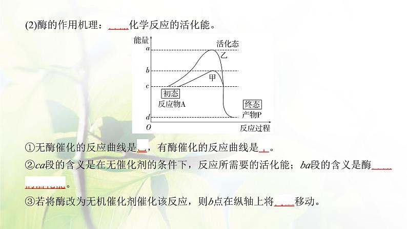 人教版2024届高考生物一轮复习酶和能量“货币”ATP教学课件04