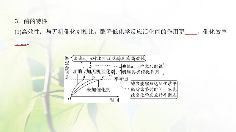 人教版2024届高考生物一轮复习酶和能量“货币”ATP教学课件07