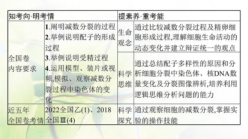 人教版2024届高考生物一轮复习减数分裂和受精作用课件03