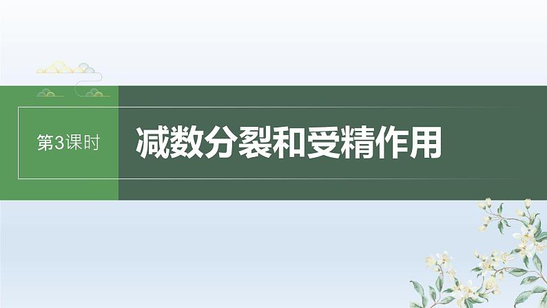 人教版2024届高考生物一轮复习减数分裂和受精作用教学课件第1页