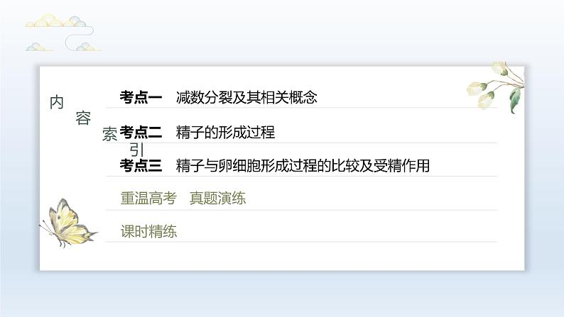 人教版2024届高考生物一轮复习减数分裂和受精作用教学课件第3页