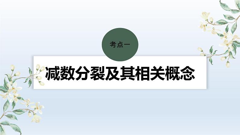 人教版2024届高考生物一轮复习减数分裂和受精作用教学课件第4页