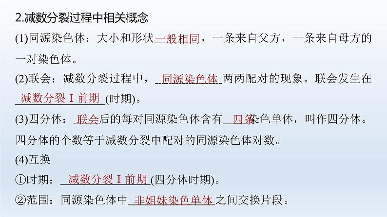 人教版2024届高考生物一轮复习减数分裂和受精作用教学课件第6页