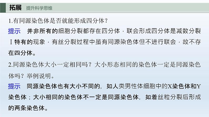 人教版2024届高考生物一轮复习减数分裂和受精作用教学课件第8页