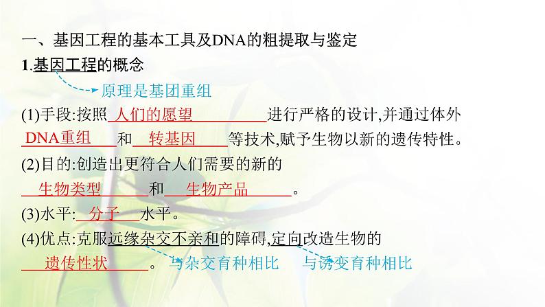 人教版2024届高考生物一轮复习基因工程教学课件第5页