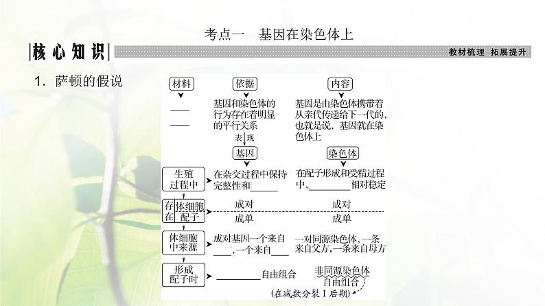 人教版2024届高考生物一轮复习伴性遗传和人类遗传病教学课件 (2)03