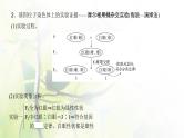 人教版2024届高考生物一轮复习伴性遗传和人类遗传病教学课件 (2)
