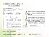 人教版2024届高考生物一轮复习伴性遗传和人类遗传病教学课件 (2)