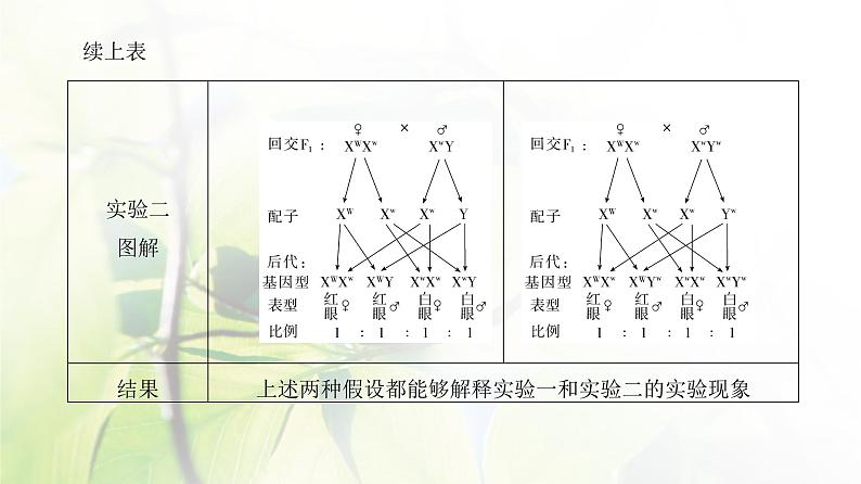 人教版2024届高考生物一轮复习伴性遗传和人类遗传病教学课件 (2)07