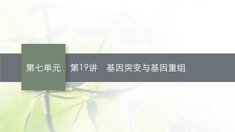 人教版2024届高考生物一轮复习基因突变与基因重组教学课件 (2)第1页