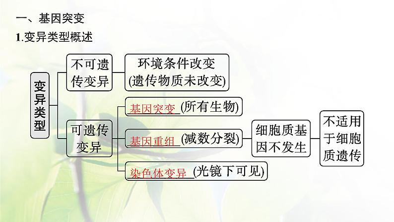 人教版2024届高考生物一轮复习基因突变与基因重组教学课件 (2)第5页